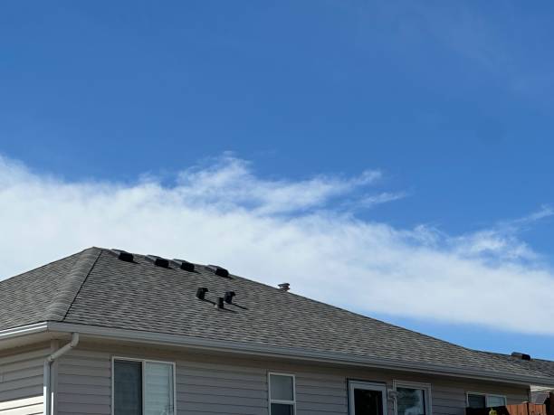 Best Gutter Installation and Repair  in St Maries, ID